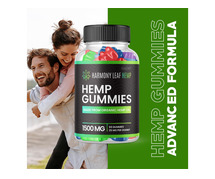 Harmony Wave CBD Gummies : Reviews (2025 Update) Is It Safe?
