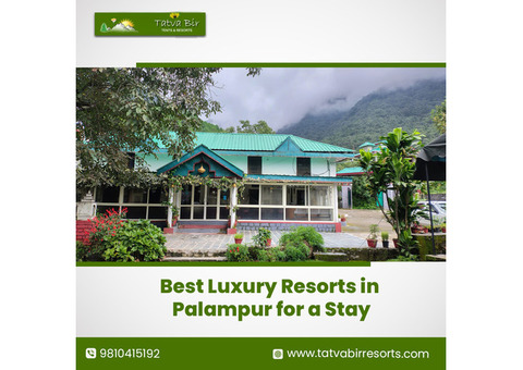 Best Luxury Resorts in Palampur for a Stay