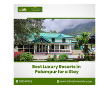 Best Luxury Resorts in Palampur for a Stay