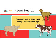 Fresh NV Non-Veg Sea Meat by Fresh NV Farmer - #1 Choice for Premium Sperm Quality in India!