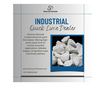 Industrial Quick Lime Dealer
