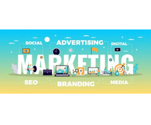 Best Digital Marketing Course In Delhi