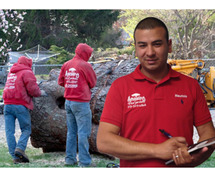 Trusted Tree Services in Morris County, NJ