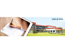 BBA Colleges in Tamnar