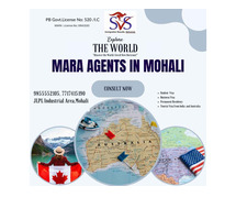 MARA Agents in Mohali – SVS Consulting Group Can Help You Migrate with Confidence