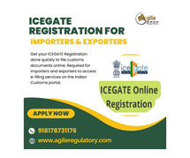 Start Import-Export with ICEGATE Login