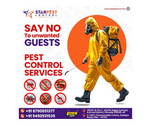 Affordable Anti Termite Pest Control Near Me || Star Pest Control