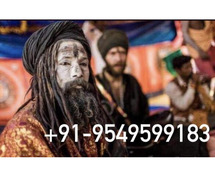 Inter caste Marriage Specialist Baba Ji 9549599183