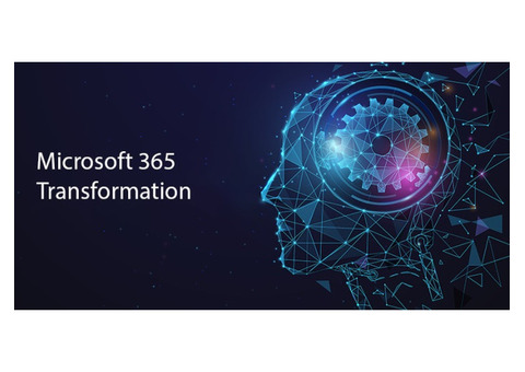 Boost Collaboration with Microsoft 365 Consulting Services