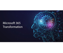Boost Collaboration with Microsoft 365 Consulting Services