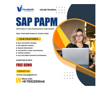 SAP PaPM Training in Ameerpet | Online SAP PaPM Course