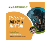 AMX Detective Agency - Trusted Investigation Services in Amritsar
