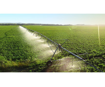 Sell Farm Products Online in India – Reach More Buyers & Grow Your Agri Business!