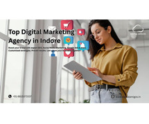 Top Digital Marketing Agency in Indore – Digital Amigos