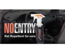 Anti Rat Spray for Car Engine – Protect Your Car Today!