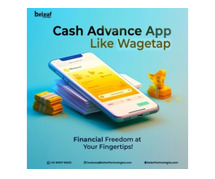 Top cash advance app development - Beleaf Technologies