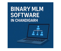 binary MLM software