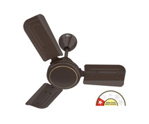Buy REO Tejas ES Ceiling Fan – Energy Efficient & Stylish
