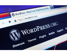 Wordpress Development Company