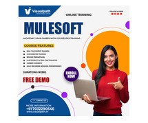 MuleSoft Training | MuleSoft Online Training