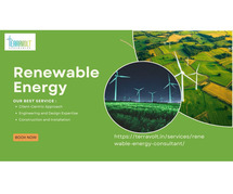 Expert Renewable Energy Consulting for Businesses