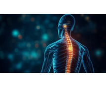 Spinal cord injury treatment in Trivandrum