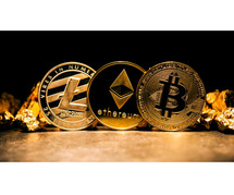 Have you Heard of Coinvestor