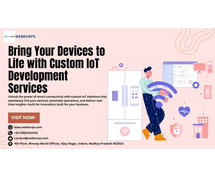 Bring Your Devices to Life with Custom IoT Development Services