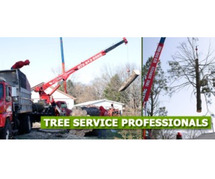 Professional Tree Lopping Services in New Jersey