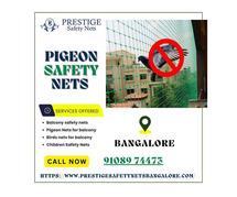 Pigeon Safety Nets Bangalore