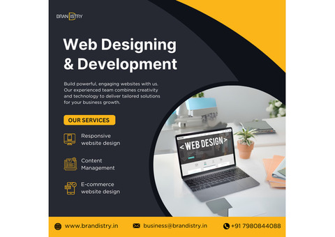Best Website Design and Development Service in Kolkata | Brandistry