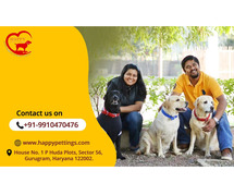 Delhi’s Best Dog Care Services – Happy Pettings