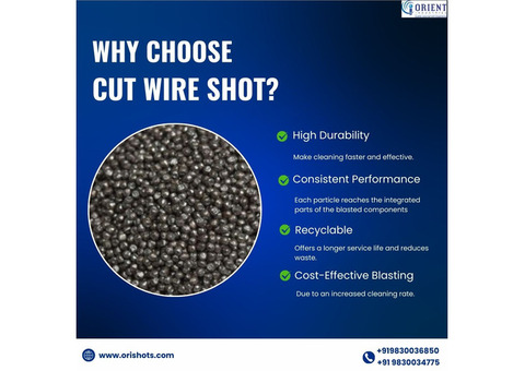 Steel Cut Wire Shot Manufacturer in Kolkata, India | Orient Industries