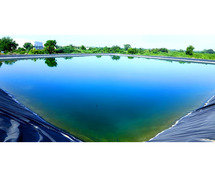 Best Pond Lining Options: Traditional vs Geomembrane Guide