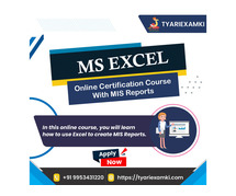 online ms exscel course for bfor Beginners to Professional in Delhi