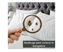 Bed Bug Pest Control Services – Sleep Peacefully Again