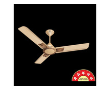 Buy Dasher Prime BLDC Ceiling Fan – Energy Efficient & High Performance