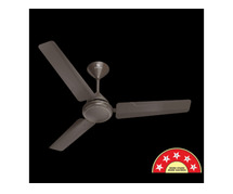 Zinger BLDC Ceiling Fan – Energy Efficient Fan by Standard Electricals