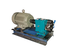 Stainless Steel Rotary Lobe Pump Manufacturer | Dev Engineers