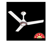 Buy Standard Odion BLDC Ceiling Fan – Energy Efficient & Stylish Design