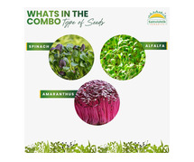 Buy Microgreen Seeds Online in India from Sattvishtik – Fresh, Organic & Easy to Grow at Home