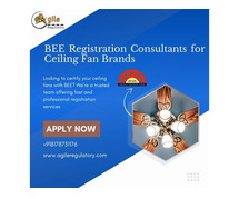 BEE Registration Consultants for Ceiling Fan Brands