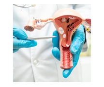 Dr. Sandhya Gupta Obstetrician-gynecologist