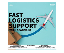 Fast & Reliable Cross-Border Logistics Support via SeaOne.io