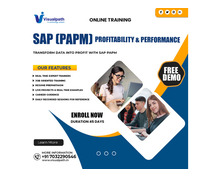 SAP PaPM Training in Ameerpet | Online Course Guide