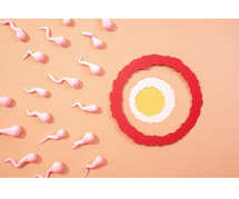ivf center in odisha