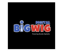 The Best SEO Company in Delhi - Big Wig Digital
