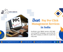 Best PPC company in India: Wish Geeks Techserve