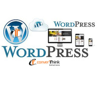 Pro WordPress Services