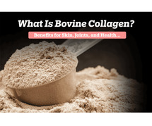 What Is Bovine Collagen?